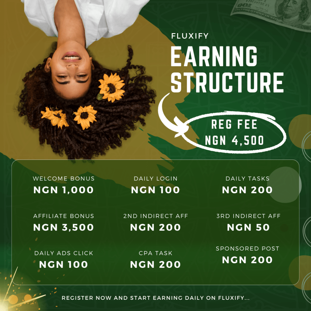 Fluxify Earning Structure