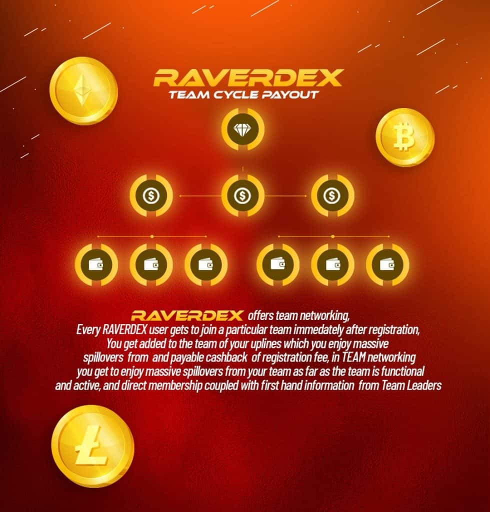 Raverdex Team Cycle